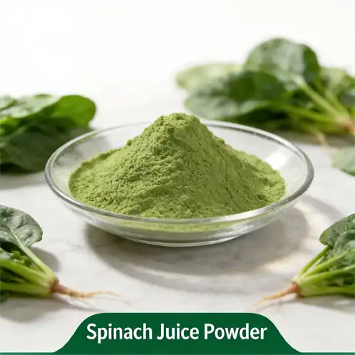 Spinach Juice Powder in Sports Nutrition: A Smart Choice?